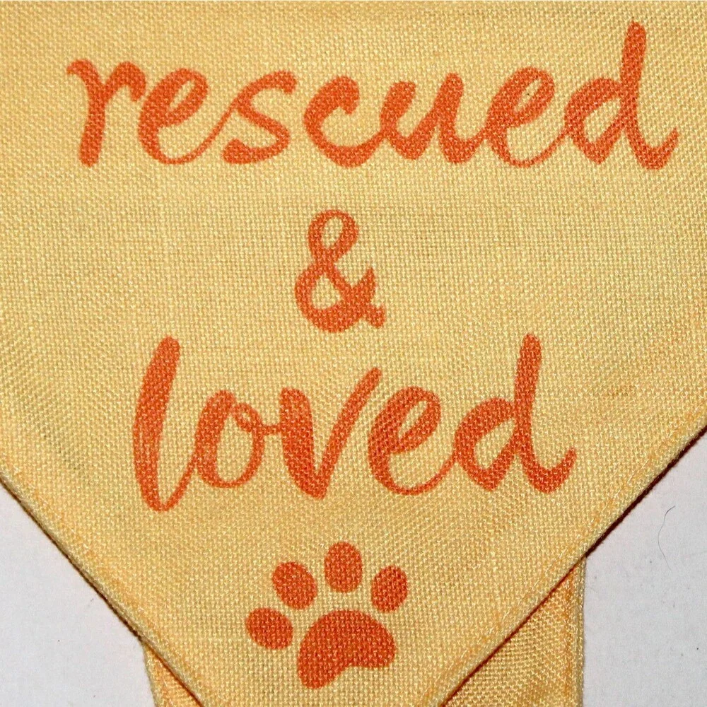 Kirkland Dog Bandana Rescued and Loved Small yellow orange scarf